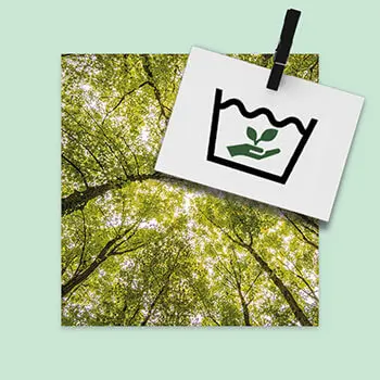 Greenwashing und Nachhaltigkeit bei Matratzen