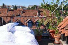 Louise: Bettwäsche aus 100% Bio-Baumwollperkal